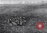Image of American World War 1 soldiers and industry United States USA, 1918, second 56 stock footage video 65675035536