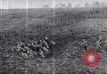 Image of American World War 1 soldiers and industry United States USA, 1918, second 57 stock footage video 65675035536