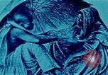 Image of Charles White Los Angeles California USA, 1971, second 8 stock footage video 65675035539