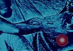 Image of Charles White Los Angeles California USA, 1971, second 10 stock footage video 65675035539