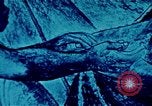 Image of Charles White Los Angeles California USA, 1971, second 11 stock footage video 65675035539