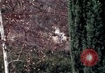 Image of Charles White Los Angeles California USA, 1971, second 48 stock footage video 65675035539