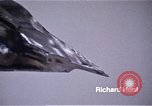Image of Artist Richard Hunt Chicago Illinois USA, 1971, second 4 stock footage video 65675035541