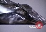 Image of Artist Richard Hunt Chicago Illinois USA, 1971, second 6 stock footage video 65675035541