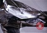 Image of Artist Richard Hunt Chicago Illinois USA, 1971, second 8 stock footage video 65675035541