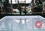 Image of Artist Richard Hunt Chicago Illinois USA, 1971, second 44 stock footage video 65675035541