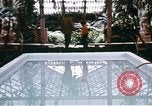 Image of Artist Richard Hunt Chicago Illinois USA, 1971, second 48 stock footage video 65675035541