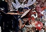 Image of Romare Bearden New York City USA, 1971, second 4 stock footage video 65675035542