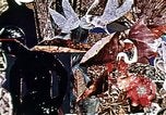 Image of Romare Bearden New York City USA, 1971, second 6 stock footage video 65675035542