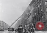 Image of Harlem New York City USA, 1963, second 3 stock footage video 65675035557