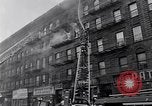 Image of Harlem New York City USA, 1963, second 6 stock footage video 65675035557