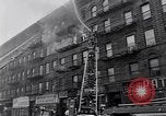 Image of Harlem New York City USA, 1963, second 8 stock footage video 65675035557