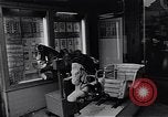 Image of Harlem scenes New York City USA, 1964, second 53 stock footage video 65675035560