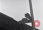 Image of Harlem New York City USA, 1969, second 60 stock footage video 65675035561