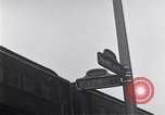 Image of Harlem New York City USA, 1969, second 61 stock footage video 65675035561