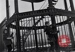 Image of Harlem New York City USA, 1969, second 15 stock footage video 65675035562