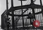 Image of Harlem New York City USA, 1969, second 16 stock footage video 65675035562