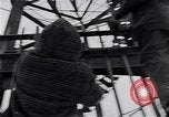 Image of Harlem New York City USA, 1969, second 20 stock footage video 65675035562