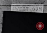 Image AME sweet gum L'église Zion Tuskegee Alabama USA, 1935, de la seconde 1 séquences d'archives historiques vidéo 65675035573