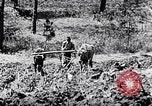 Standbild African American Life in 1949 Washington DC USA, 1949, aus Sekunde 50 historischem Filmmaterial Videoclip 65675035584