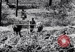 Standbild African American Life in 1949 Washington DC USA, 1949, aus Sekunde 51 historischem Filmmaterial Videoclip 65675035584