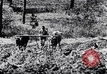 Standbild African American Life in 1949 Washington DC USA, 1949, aus Sekunde 52 historischem Filmmaterial Videoclip 65675035584