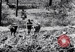 Standbild African American Life in 1949 Washington DC USA, 1949, aus Sekunde 53 historischem Filmmaterial Videoclip 65675035584