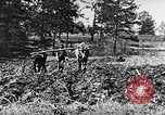 Standbild African American Life in 1949 Washington DC USA, 1949, aus Sekunde 56 historischem Filmmaterial Videoclip 65675035584
