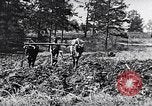 Standbild African American Life in 1949 Washington DC USA, 1949, aus Sekunde 58 historischem Filmmaterial Videoclip 65675035584