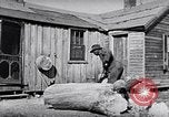 Image of Rural African American people in United States United States USA, 1949, second 35 stock footage video 65675035585