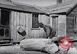 Image of Rural African American people in United States United States USA, 1949, second 39 stock footage video 65675035585