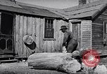 Image of Rural African American people in United States United States USA, 1949, second 40 stock footage video 65675035585