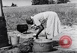 Image of Rural African American people in United States United States USA, 1949, second 48 stock footage video 65675035585