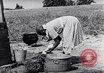 Image of Rural African American people in United States United States USA, 1949, second 49 stock footage video 65675035585