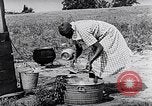 Image of Rural African American people in United States United States USA, 1949, second 52 stock footage video 65675035585