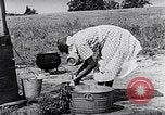 Image of Rural African American people in United States United States USA, 1949, second 53 stock footage video 65675035585