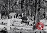 Image of Rural African American people in United States United States USA, 1949, second 55 stock footage video 65675035585