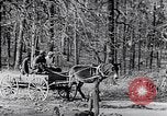 Image of Rural African American people in United States United States USA, 1949, second 59 stock footage video 65675035585