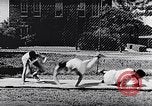 Standbild Negro College athletic Programm United States USA, 1949, aus Sekunde 41 historischem Filmmaterial Videoclip 65675035594