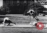 Standbild Negro College athletic Programm United States USA, 1949, aus Sekunde 46 historischem Filmmaterial Videoclip 65675035594