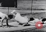 Standbild Negro College athletic Programm United States USA, 1949, aus Sekunde 59 historischem Filmmaterial Videoclip 65675035594