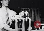 Image of Soda fountain shop United States USA, 1949, second 14 stock footage video 65675035595