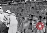 Image of African American Artists United States USA, 1937, second 41 stock footage video 65675035603