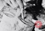 Standbild Negro Künstler United States USA, 1937, aus Sekunde 52 historischem Filmmaterial Videoclip 65675035604