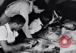 Immagine di Negro artisti United States USA, 1937, secondo 55 filmato di repertorio 65675035607