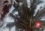 Image of Tumon Bay Guam, 1945, second 23 stock footage video 65675035636