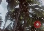 Image of Tumon Bay Guam, 1945, second 27 stock footage video 65675035636