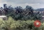 Image of Two crashed R5D aircraft Tsingtao China, 1946, second 7 stock footage video 65675035637
