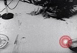 Immagine di Dwight Eisenhower D Taiwan, 1960, secondo 12 filmato di repertorio 65675035656