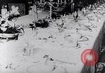 Immagine di Dwight Eisenhower D Taiwan, 1960, secondo 15 filmato di repertorio 65675035656